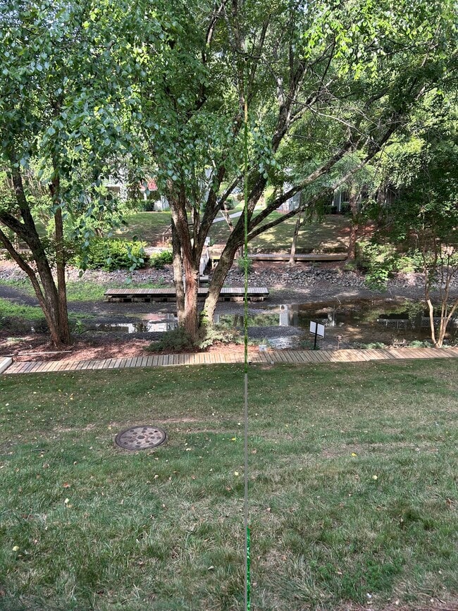 View from porch - 19901 Henderson Rd