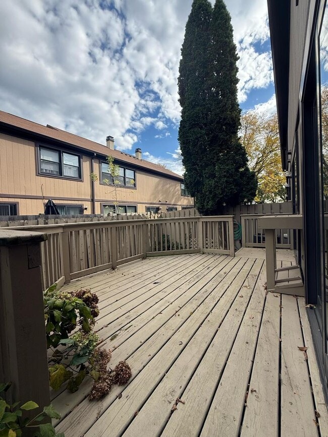 Building Photo - 203 Stafford Dr