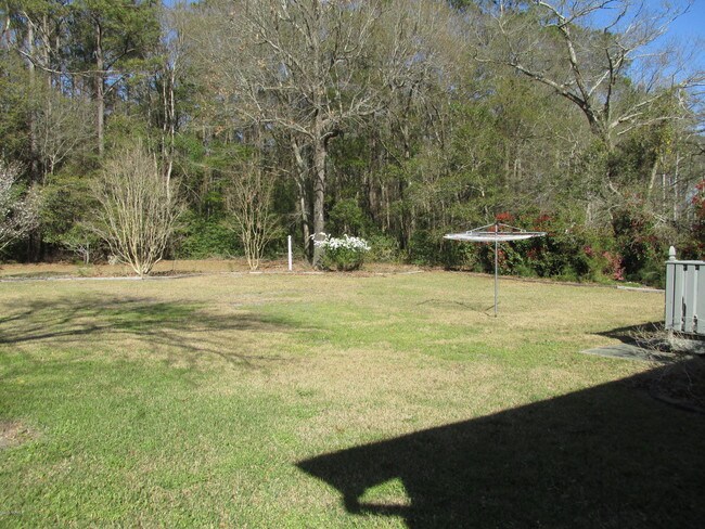 Building Photo - 111 Silver Creek Landing Rd