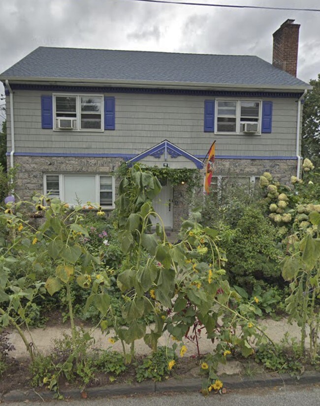 sunflowers out front - 41 New Broadway