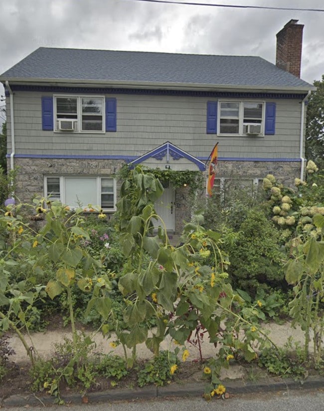 sunflowers out front - 41 New Broadway