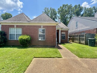 Building Photo - 1217 Brady Hollow Ln