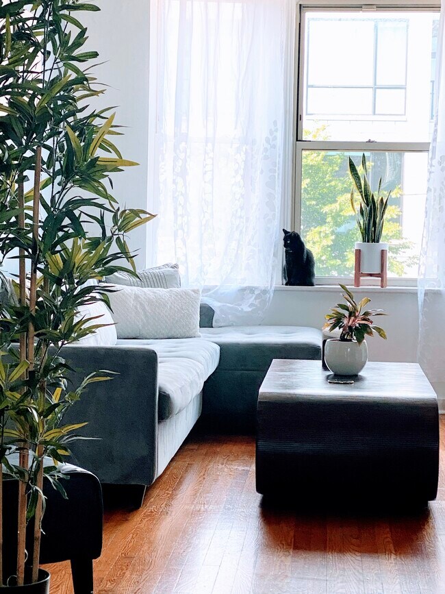 Foto del edificio - 2559 W Fullerton Ave