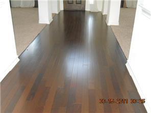 Building Photo - 309 Camperdown Elm Dr