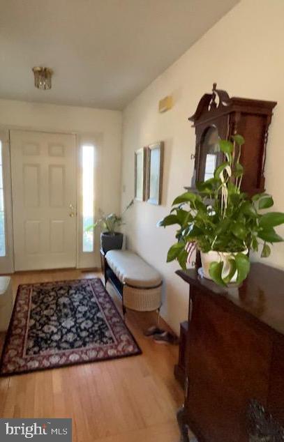 Foto del edificio - 908 Holly Ct