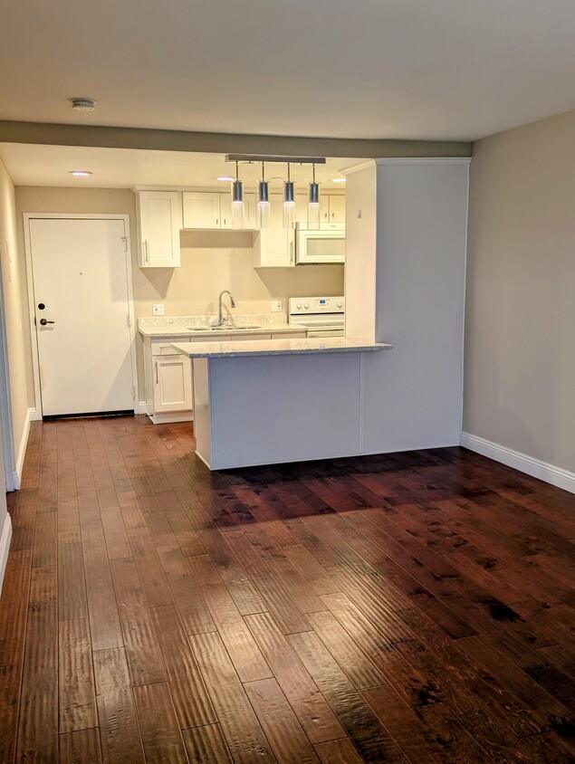 Living and Kitchen Area - 225 W 6th St