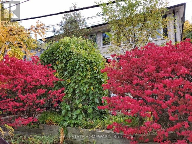 Photo du bâtiment - 21 Love Crescent