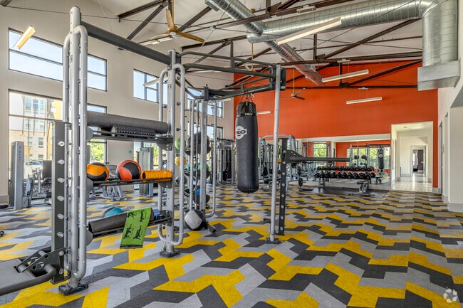 Gimnasio - The Vista