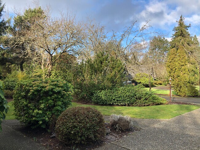 Front Yard - 8435 NE 13th St