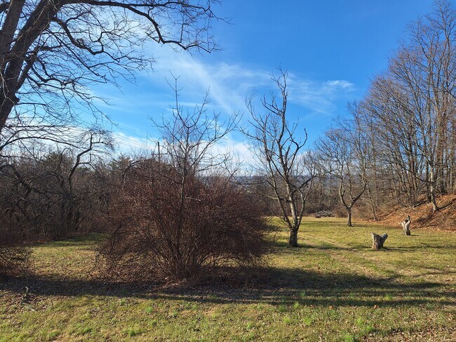 Foto del edificio - 354 Buchanan Trl