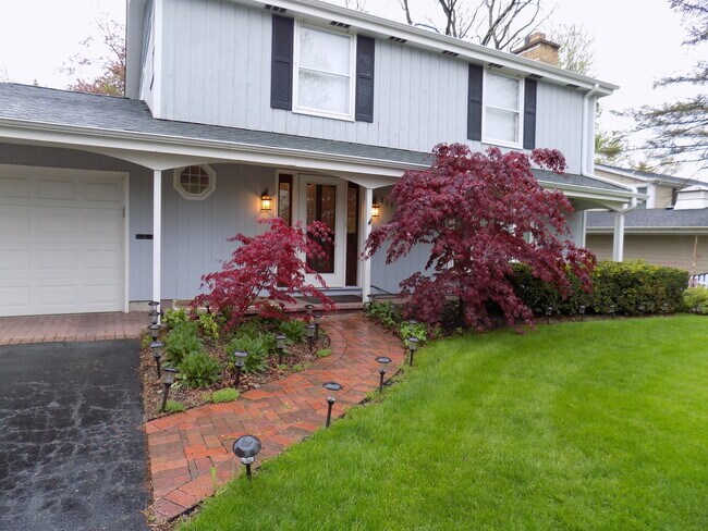 Building Photo - 813 Meadow Ln