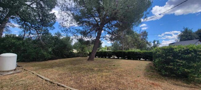 Foto del edificio - Cottonwood Country Living Near Schools