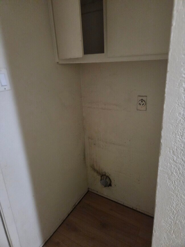 Foto del edificio - 1703 Windsong Ln