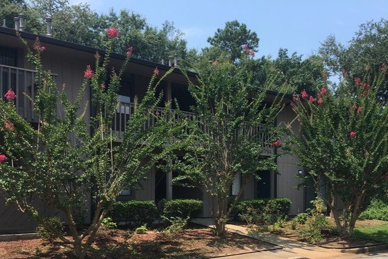 Building Photo - Crossroads Market Apartments