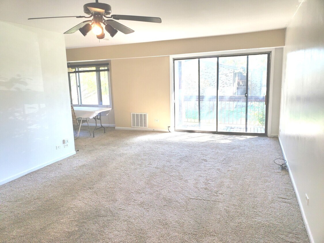 1116 E Randville Dr Unit 202A, Palatine, IL 60074 Condo for Rent in