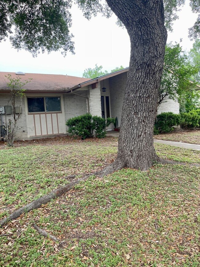 11906 Apple Blossom St, San Antonio, TX 78247 House Rental in San