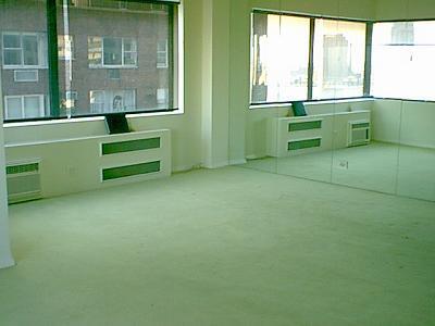 Building Photo - 20 Beekman Pl