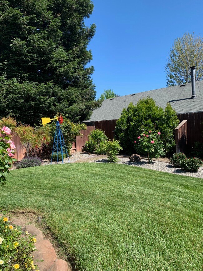 REAR YARD - 745 Silverado Estates Ct
