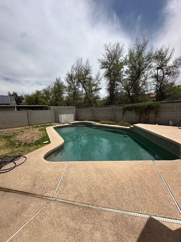 Foto del edificio - Chandler single family home with Pool!