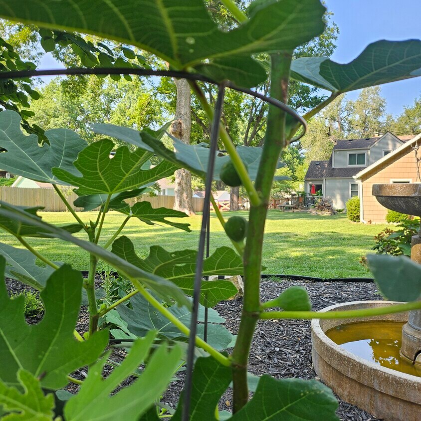 Foto del edificio - 5711 Maywood Ave