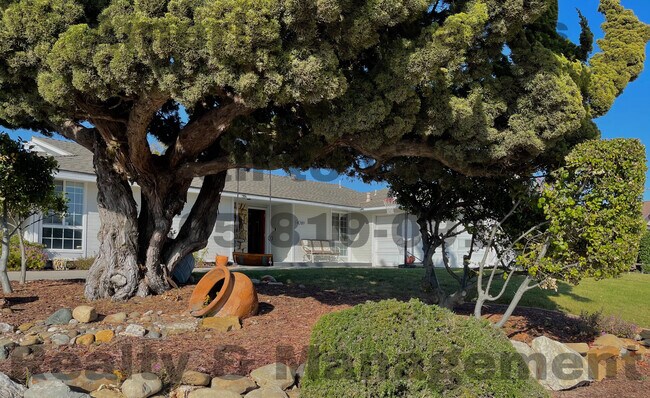 Foto del edificio - 4289 Constellation Rd