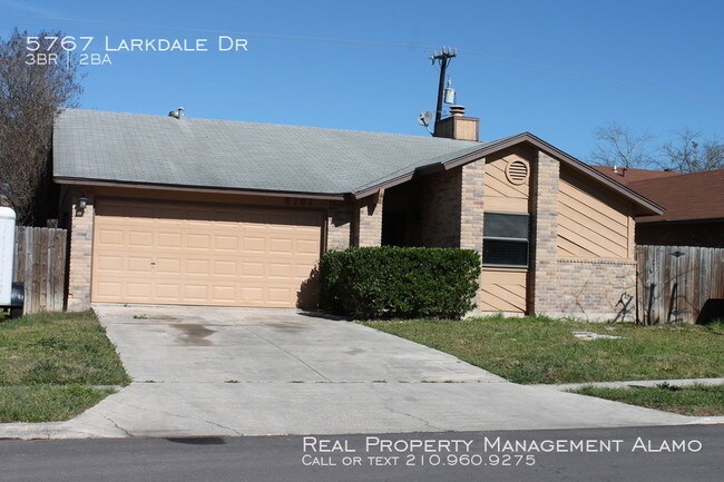 One Story Home With Ious Living Room House For Rent In San Primary Photo One Story Home With Ious Living Room
