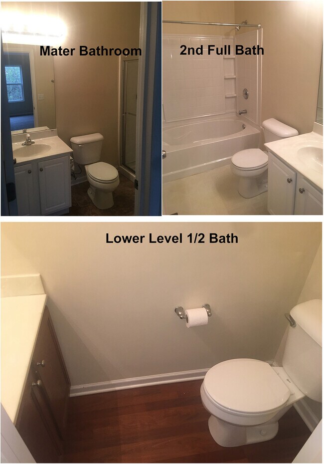Building Photo - 4277 Spyglass Hl