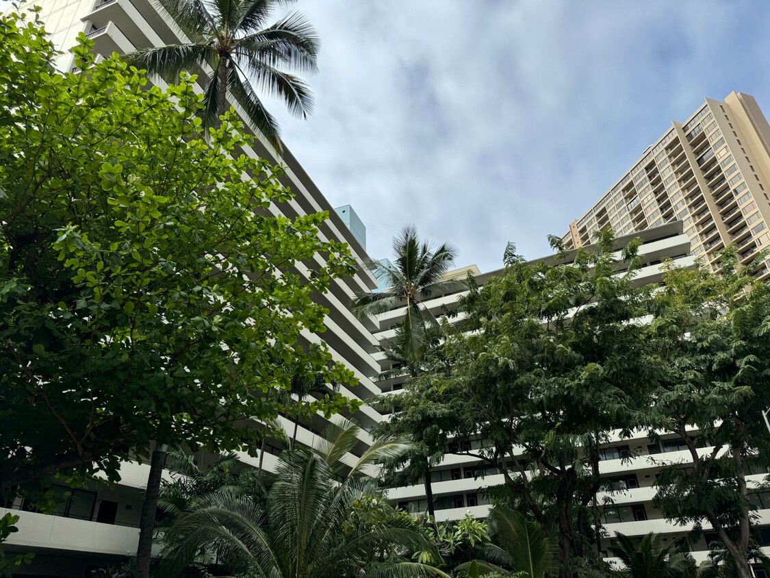 Fully-Furnished One Bedroom in Waikiki - Fully-Furnished One Bedroom in Waikiki