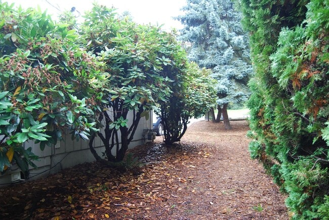 Building Photo - Charming 2 Bedroom 1.5 Bathroom in Tigard