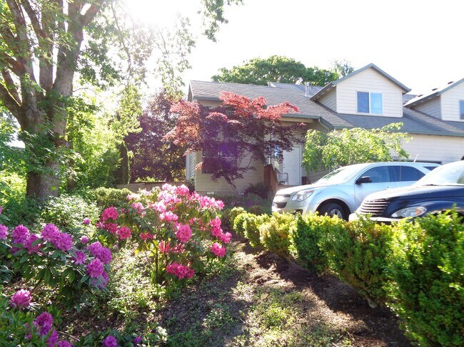 View from the Parking - 17616 SW Bany Rd