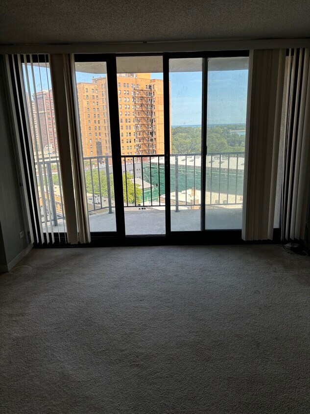 3660 N Lake Shore Dr Unit 1006, Chicago, IL 60613 Condo for Rent in