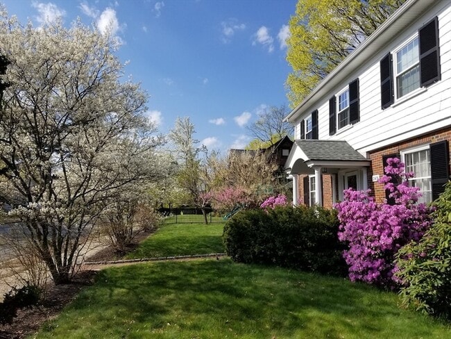 Foto del edificio - 269 Waltham St