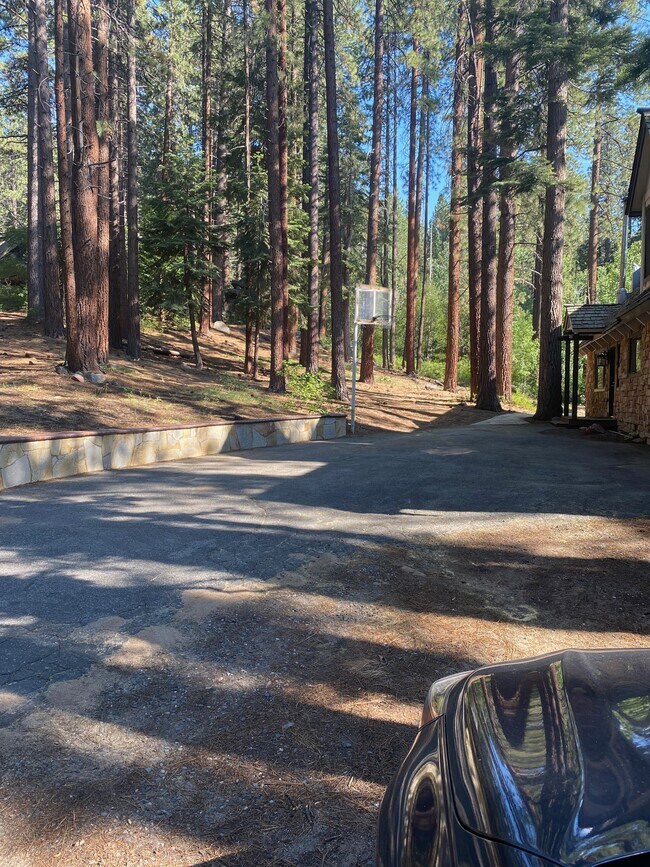 Building Photo - 3810 Needle Peak Rd