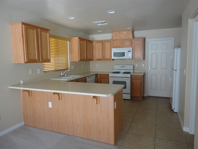 Building Photo - 8920 Bonneville Peak Court