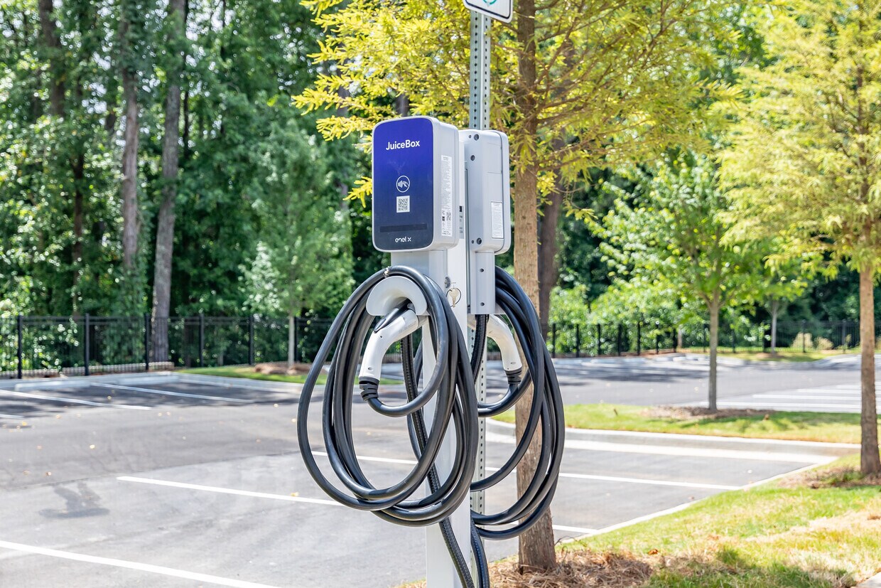 Foto principal - Resia Willows