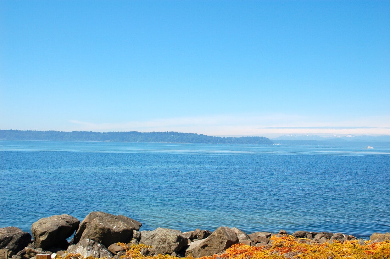 Primary Photo - West Seattle Waterfront Condominium ~ West...