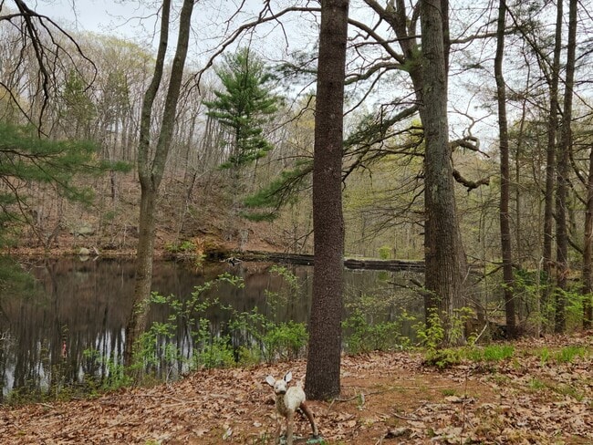 Foto del edificio - 480 Maupas Rd N