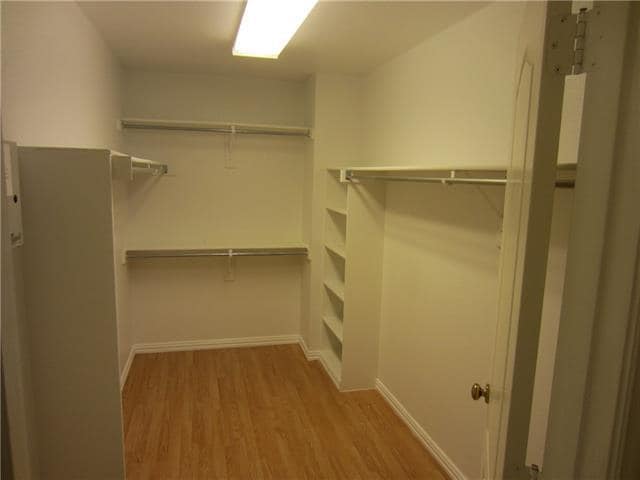 Building Photo - 1800 Chester Dr