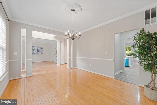 Building Photo - 905 Royal Elm Ct
