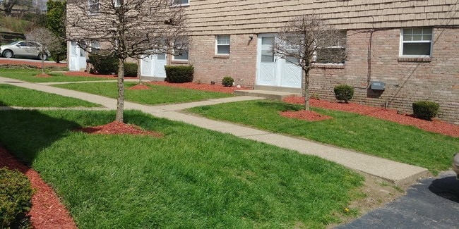 COURTYARD - Plum Park Apartments