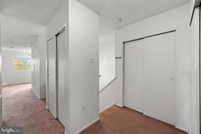 Foto del edificio - 424 Meadowview Ln