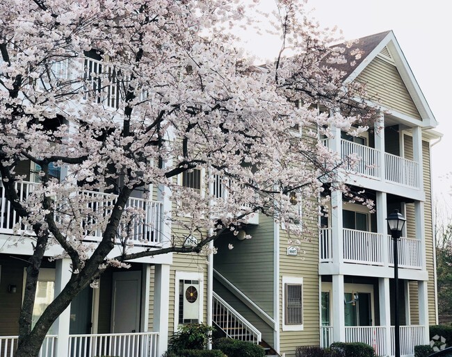 Building Photo - Oaks of Woodlawn