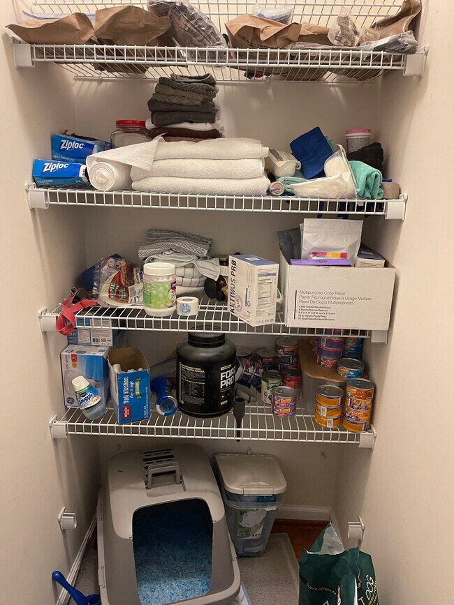 Large Pantry - 194 Chapel Lk S