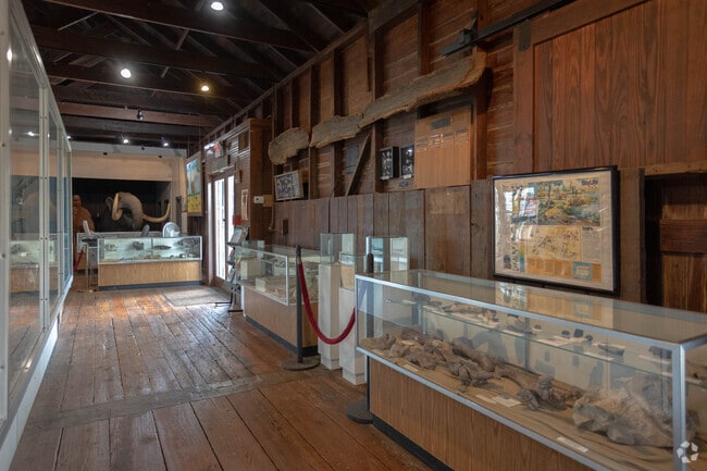 The Mulberry Phosphate Museum dives into the city's ecological roots.