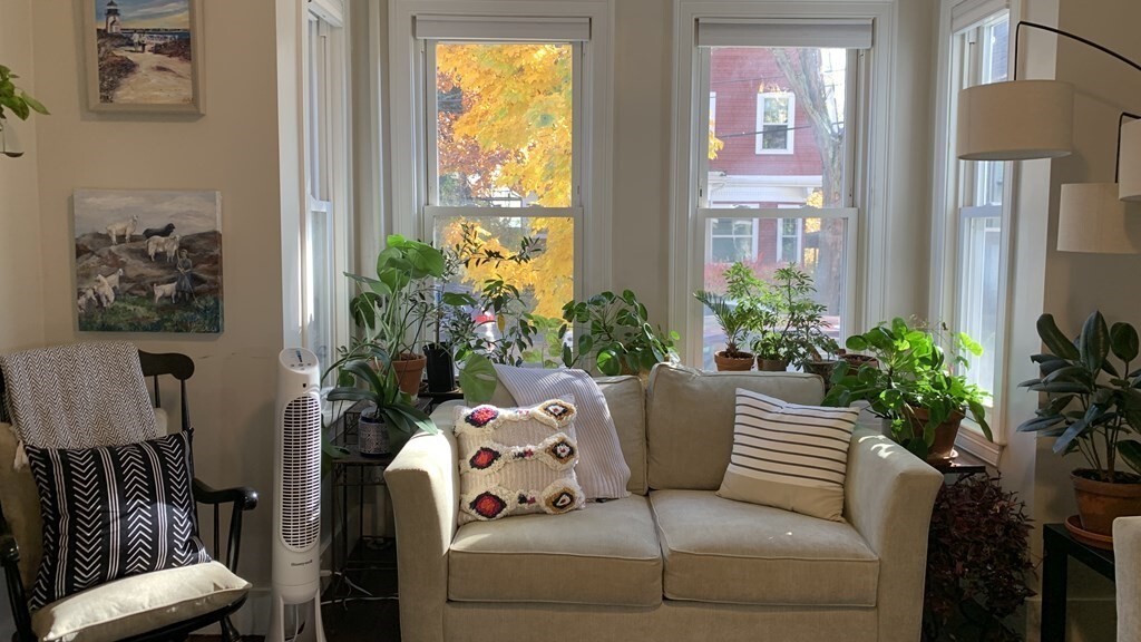 Primary Photo - 18 Tennyson St