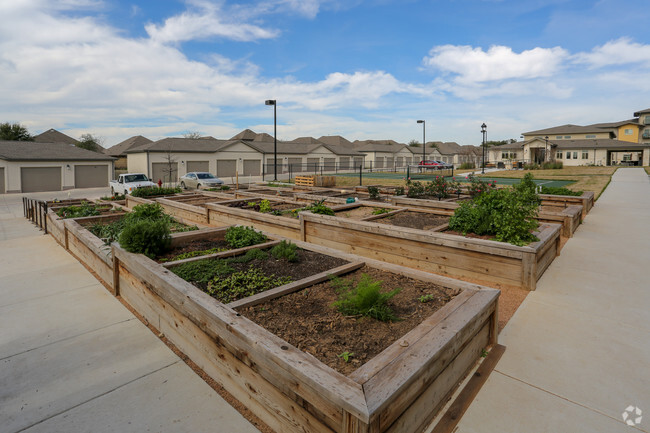 JARDÍN COMUNITARIO - Affinity at Southpark Meadows 55+