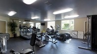 This single-floor fitness center offers a comprehensive workout environment designed to accommodate a range of exercise needs. The space is outfitted with multiple treadmills, elliptical trainers, stationary bikes, and additional cardio equipment, providing ample options for cardiovascular training. A large wall mirror runs along one side of the room, visually expanding the space and allowing users to monitor their form during workouts. The dark rubberized flooring provides both safety and durability underfoot, making it well-suited for high-traffic gym use. Overhead, flush-mounted panel lighting illuminates the room evenly, complemented by natural light streaming in through several windows that overlook a lush, green outdoor setting. A wall-mounted television is positioned near the mirror, offering entertainment during workouts. The ceiling features a darker finish that gives the space a sleek, modern aesthetic. The layout is open and thoughtfully arranged, ensuring comfortable spacing between machines. Overall, the fitness center delivers a functional and well-maintained environment suitable for daily exercise routines.