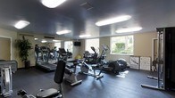 This single-floor fitness center offers a comprehensive workout environment designed to accommodate a range of exercise needs. The space is outfitted with multiple treadmills, elliptical trainers, stationary bikes, and additional cardio equipment, providing ample options for cardiovascular training. A large wall mirror runs along one side of the room, visually expanding the space and allowing users to monitor their form during workouts. The dark rubberized flooring provides both safety and durability underfoot, making it well-suited for high-traffic gym use. Overhead, flush-mounted panel lighting illuminates the room evenly, complemented by natural light streaming in through several windows that overlook a lush, green outdoor setting. A wall-mounted television is positioned near the mirror, offering entertainment during workouts. The ceiling features a darker finish that gives the space a sleek, modern aesthetic. The layout is open and thoughtfully arranged, ensuring comfortable spacing between machines. Overall, the fitness center delivers a functional and well-maintained environment suitable for daily exercise routines.