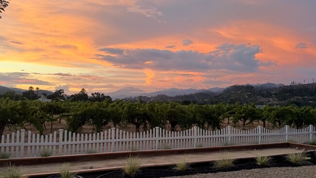 Foto del edificio - Pet Friendly! Walk to Downtown