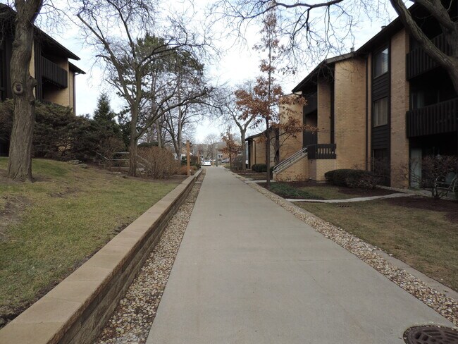 Building Photo - 6113 Knoll Wood Ct